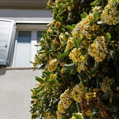 펜션 Seaview Lido Terrace *